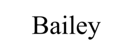 Mark drawing for BAILEY