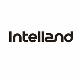 Mark drawing for INTELLAND