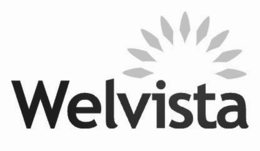 Mark drawing for WELVISTA