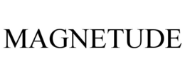 Mark drawing for MAGNETUDE