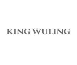 Mark drawing for KING WULING