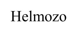 Mark drawing for HELMOZO