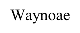 Mark drawing for WAYNOAE