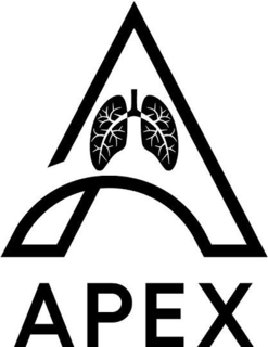 Mark drawing for A APEX