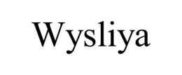 Mark drawing for WYSLIYA