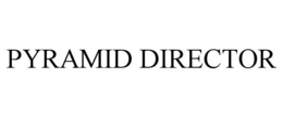 Mark drawing for PYRAMID DIRECTOR