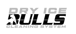 Mark drawing for DRY ICE BULLS CLEANING SYSTEM
