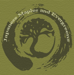 Mark drawing for JAPANESE MAPLES AND EVERGREENS