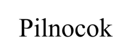 Mark drawing for PILNOCOK