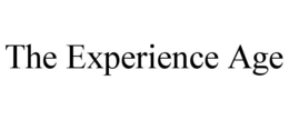 Mark drawing for THE EXPERIENCE AGE
