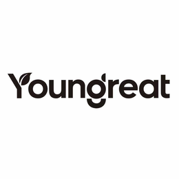 Mark drawing for YOUNGREAT