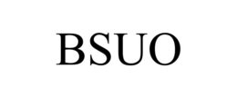 Mark drawing for BSUO