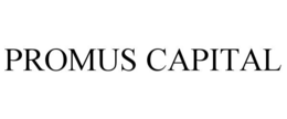Mark drawing for PROMUS CAPITAL