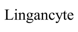 Mark drawing for LINGANCYTE