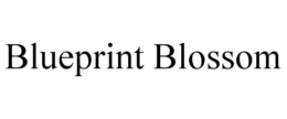 Mark drawing for BLUEPRINT BLOSSOM