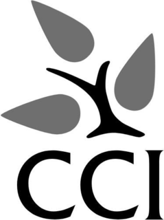 Mark drawing for CCI