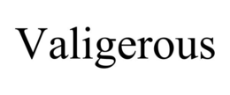 Mark drawing for VALIGEROUS
