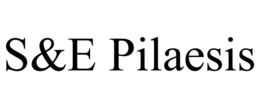 Mark drawing for S&E PILAESIS