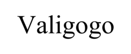 Mark drawing for VALIGOGO