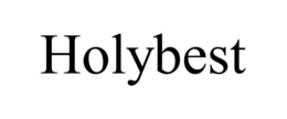 Mark drawing for HOLYBEST