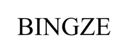 Mark drawing for BINGZE