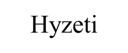 Mark drawing for HYZETI