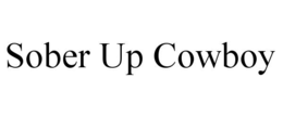 Mark drawing for SOBER UP COWBOY