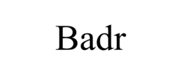 Mark drawing for BADR