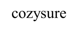 Mark drawing for COZYSURE