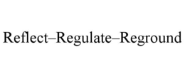 Mark drawing for REFLECT–REGULATE–REGROUND