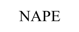 Mark drawing for NAPE