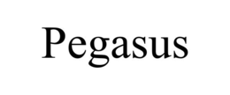 Mark drawing for PEGASUS