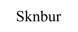 Mark drawing for SKNBUR