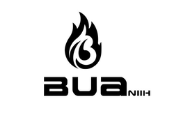 Mark drawing for BUANIIH