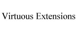 Mark drawing for VIRTUOUS EXTENSIONS