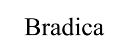 Mark drawing for BRADICA