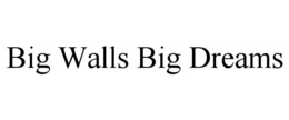 Mark drawing for BIG WALLS BIG DREAMS