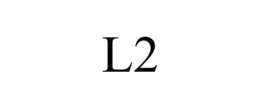 Mark drawing for L2