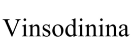 Mark drawing for VINSODININA