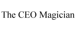 Mark drawing for THE CEO MAGICIAN