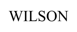 Mark drawing for WILSON