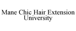 Mark drawing for MANE CHIC HAIR EXTENSION UNIVERSITY